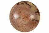 Polished Saharan Desert Jasper Dish - Morocco #326954-1